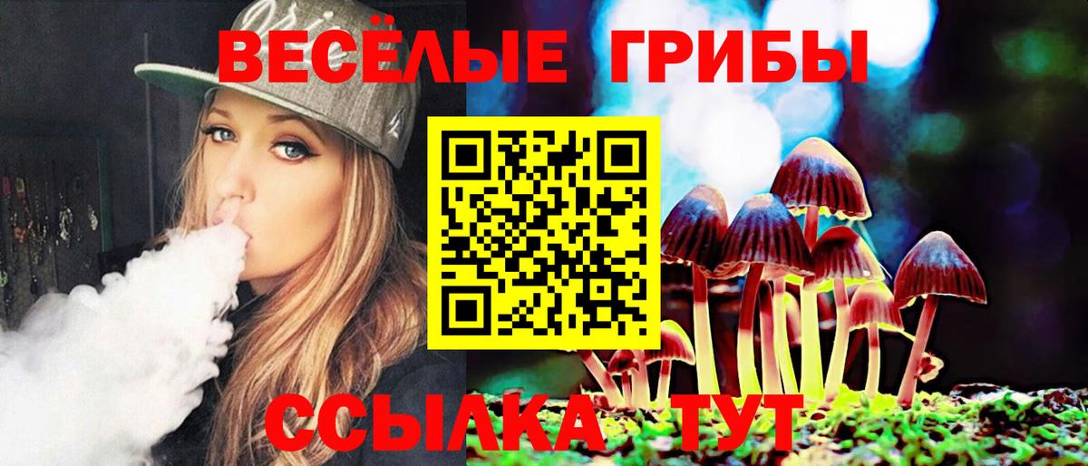Псилоцибиновые грибы Psilocybine cubensis  Вход с VPN  купить наркотики цена  Галлюциногенные грибы мицелий  Прохладный 