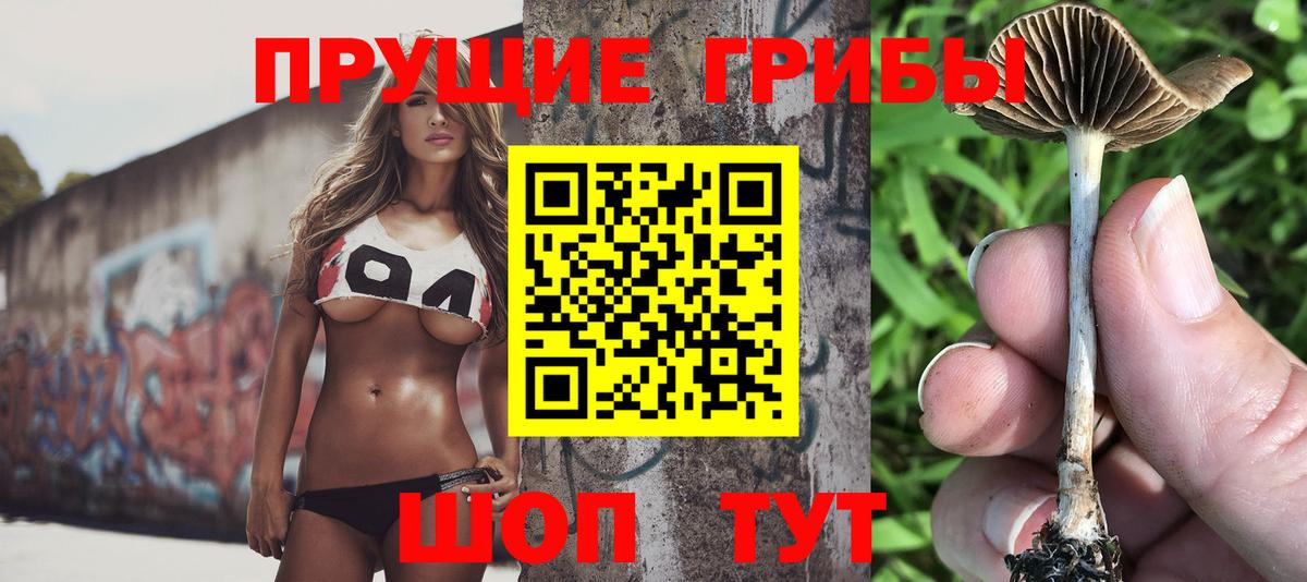 Галлюциногенные грибы MAGIC MUSHROOMS Прохладный